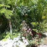 Sea & Garden