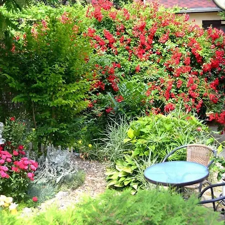 Sea & Garden Apartment