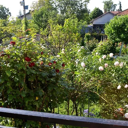Sea & Garden Varna