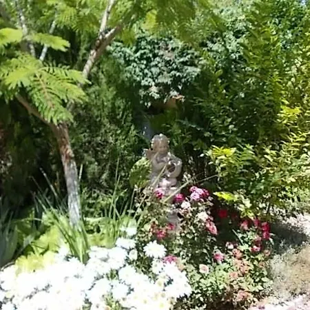 Sea & Garden