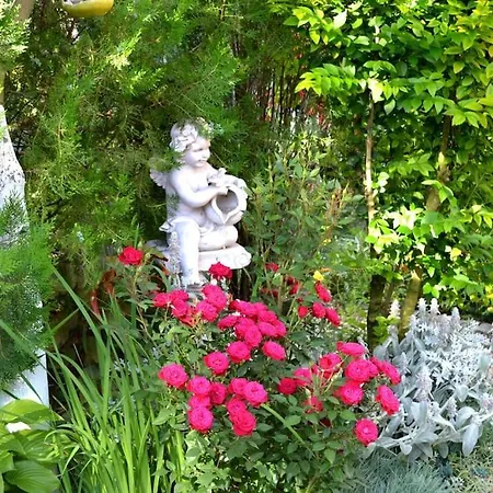 Sea & Garden * Varna